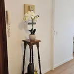 Mimosas Wilson Seaside Haven 3 Luminose A 5 Minuti Dalla Appartamento