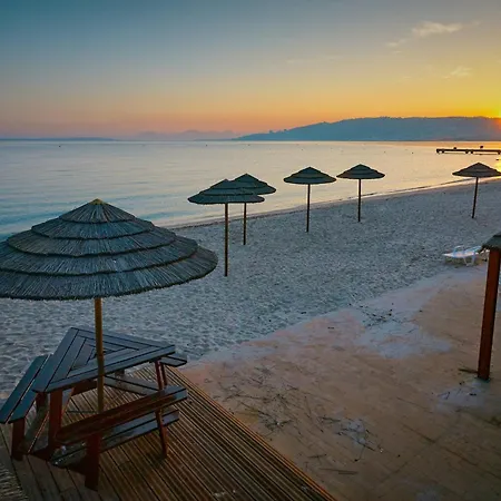 Appartamento Mimosas Wilson Seaside Haven 3 Luminose A 5 Minuti Dalla